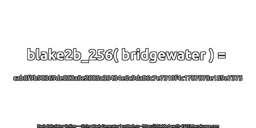 blake2b_256( bridgewater ) = cab8f9b90369de053a8e2805a35434e6c9da06c7e7519f4c1787878e159e7375 | unHash.co