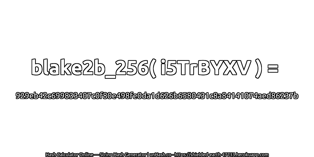 blake2b_256( i5TrBYXV ) = 929eb42c699833407c0f80e498fe0da1d626b6580431c8a84141074aed86237b | unHash.co