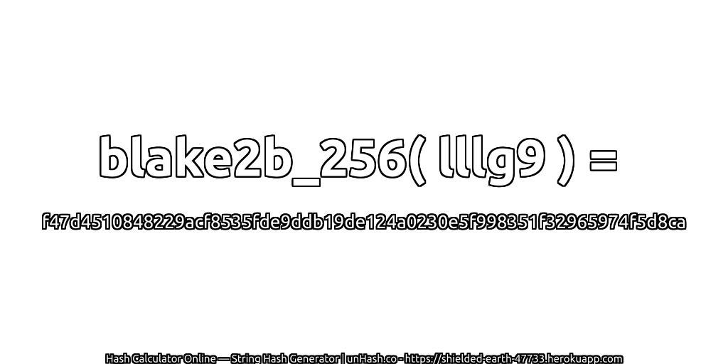blake2b_256( lllg9 ) = f47d4510848229acf8535fde9ddb19de124a0230e5f998351f32965974f5d8ca | unHash.co