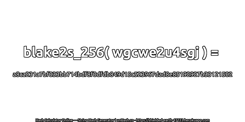 blake2s_256( wgcwe2u4sgj ) = a8ca231a7bf033bb714bdf8f0dfdb849d15c523967dad8e85192927b33121502 | unHash.co