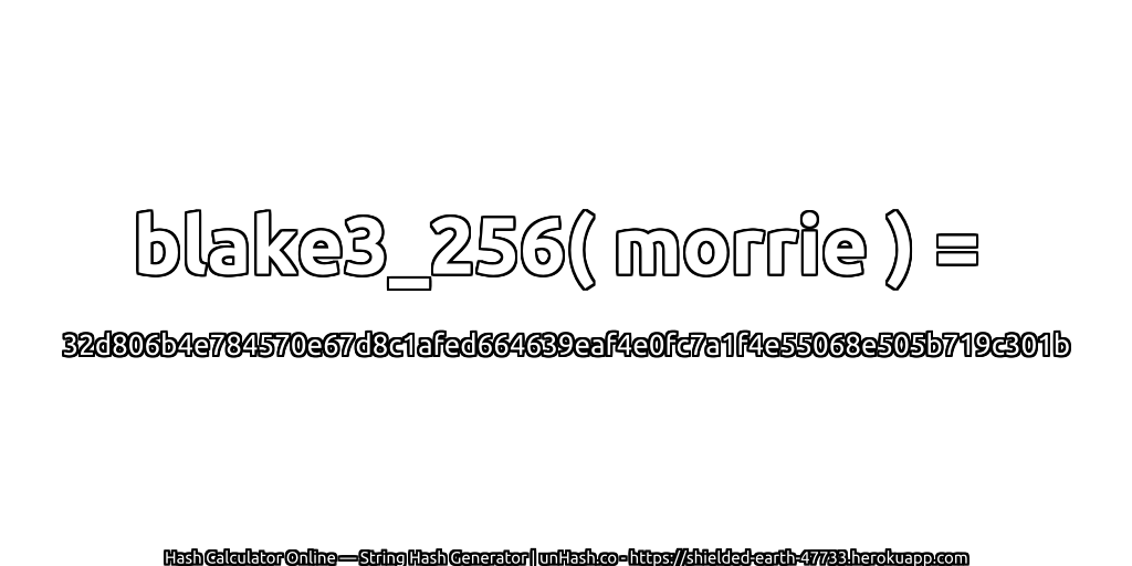 blake3_256( morrie ) = 32d806b4e784570e67d8c1afed664639eaf4e0fc7a1f4e55068e505b719c301b | unHash.co