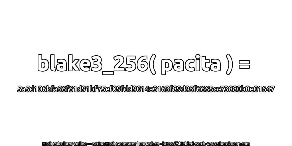 blake3_256( pacita ) = 5a5d106bfa56f61d91bf75ef09fdd9014a3163f89d95f6665cc73880b8e01647 | unHash.co