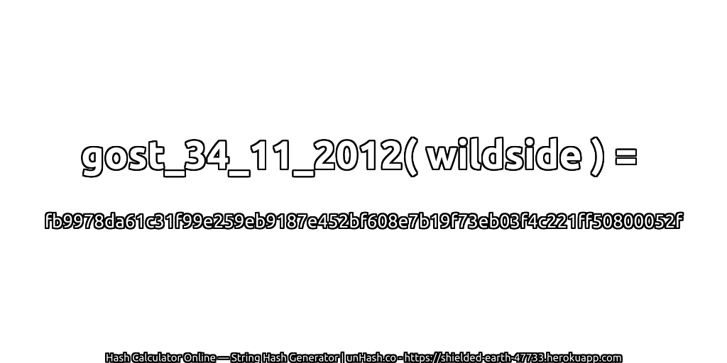 gost_34_11_2012( wildside ) = fb9978da61c31f99e259eb9187e452bf608e7b19f73eb03f4c221ff50800052f | unHash.co