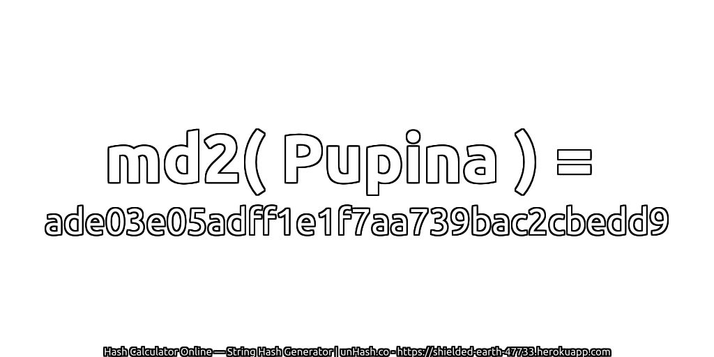 md2( Pupina ) = ade03e05adff1e1f7aa739bac2cbedd9 | unHash.co