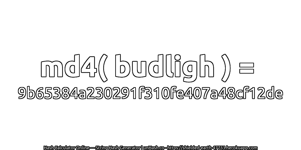 md4( budligh ) = 9b65384a230291f310fe407a48cf12de | unHash.co
