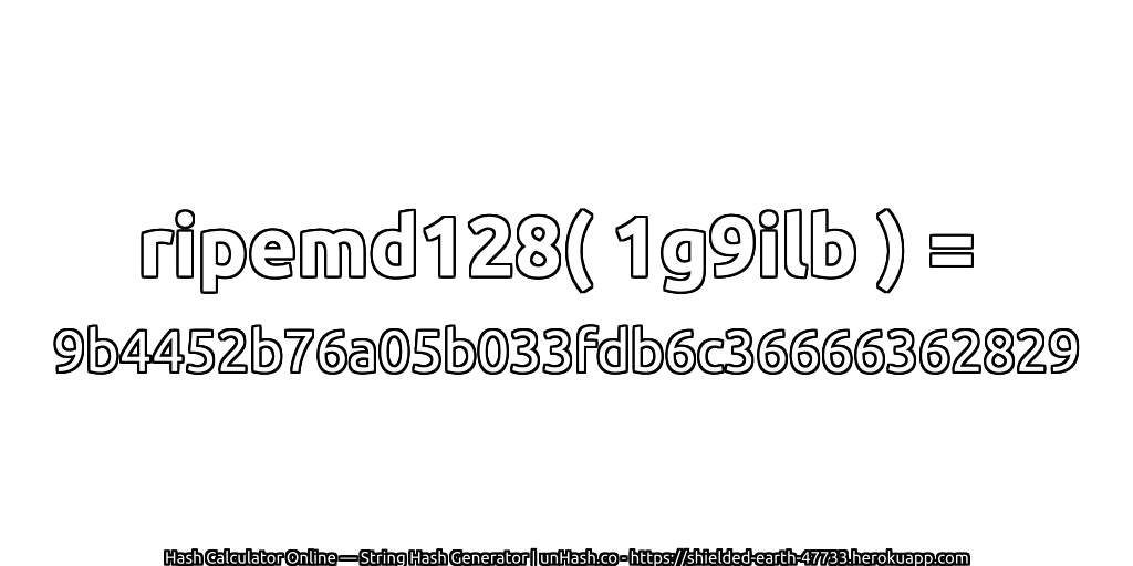 ripemd128( 1g9ilb ) = 9b4452b76a05b033fdb6c36666362829 | unHash.co