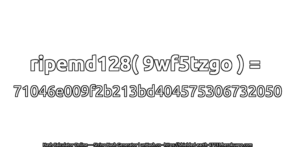 ripemd128( 9wf5tzgo ) = 71046e009f2b213bd404575306732050 | unHash.co