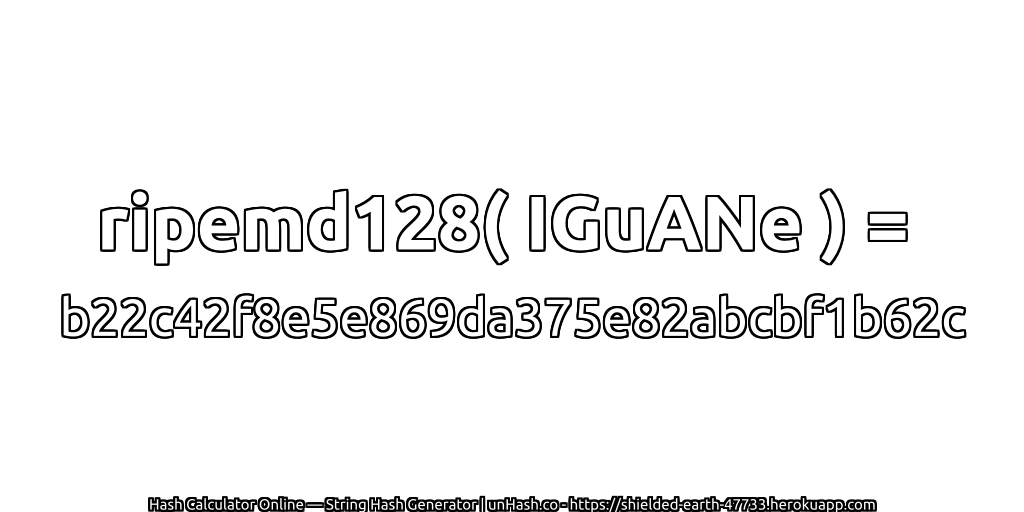 ripemd128( IGuANe ) = b22c42f8e5e869da375e82abcbf1b62c | unHash.co