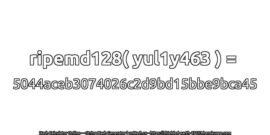 ripemd128( yul1y463 ) = 5044aceb3074026c2d9bd15bbe9bca45 | unHash.co