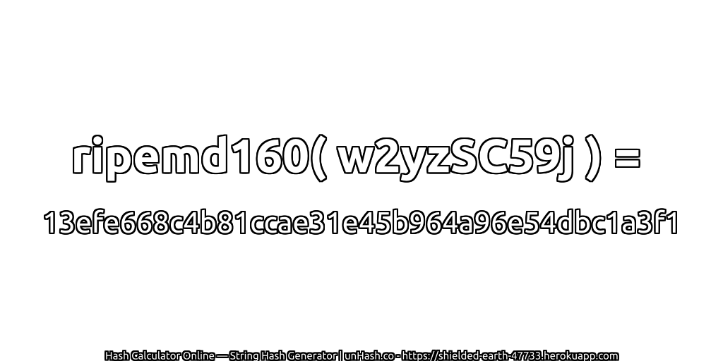 ripemd160( w2yzSC59j ) = 13efe668c4b81ccae31e45b964a96e54dbc1a3f1 | unHash.co