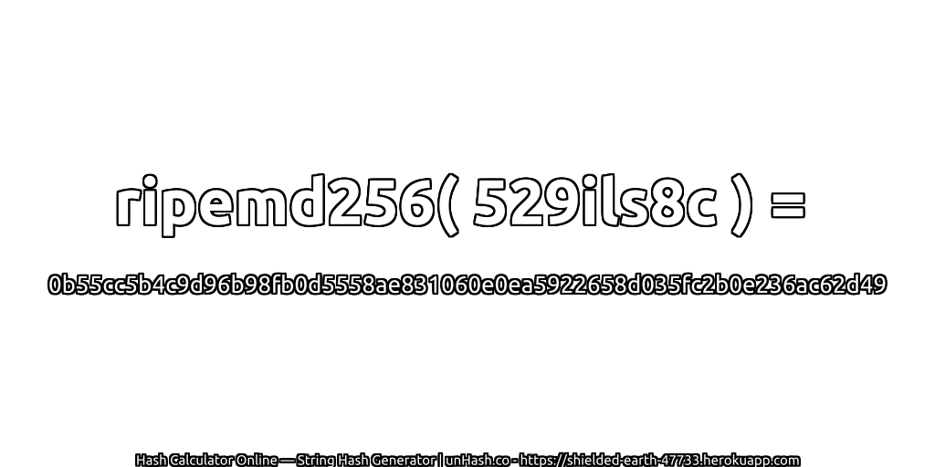 ripemd256( 529ils8c ) = 0b55cc5b4c9d96b98fb0d5558ae831060e0ea5922658d035fc2b0e236ac62d49 | unHash.co