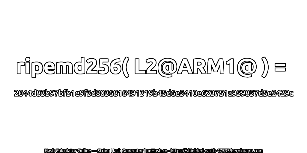 ripemd256( L2@ARM1@ ) = 2044d83b97bfb1e9f3d8036816491319b45d6e5410e623751a959857d5e2429c | unHash.co