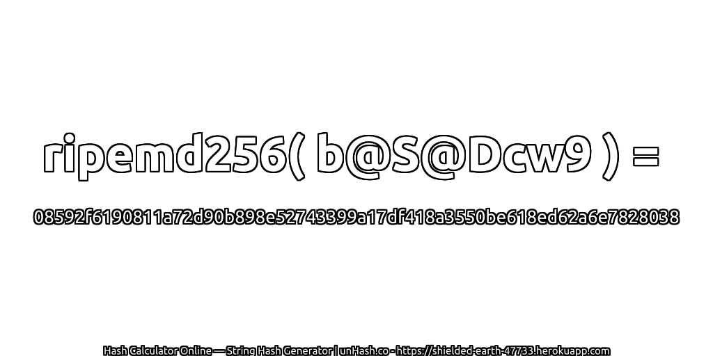 ripemd256( b@S@Dcw9 ) = 08592f6190811a72d90b898e52743399a17df418a3550be618ed62a6e7828038 | unHash.co