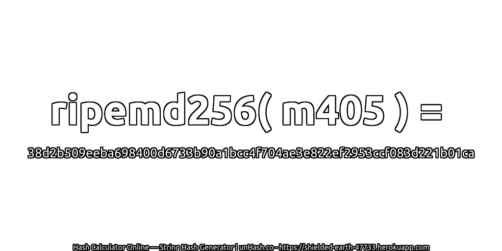 ripemd256( m405 ) = 38d2b509eeba698400d6733b90a1bcc4f704ae3e822ef2953ccf083d221b01ca | unHash.co