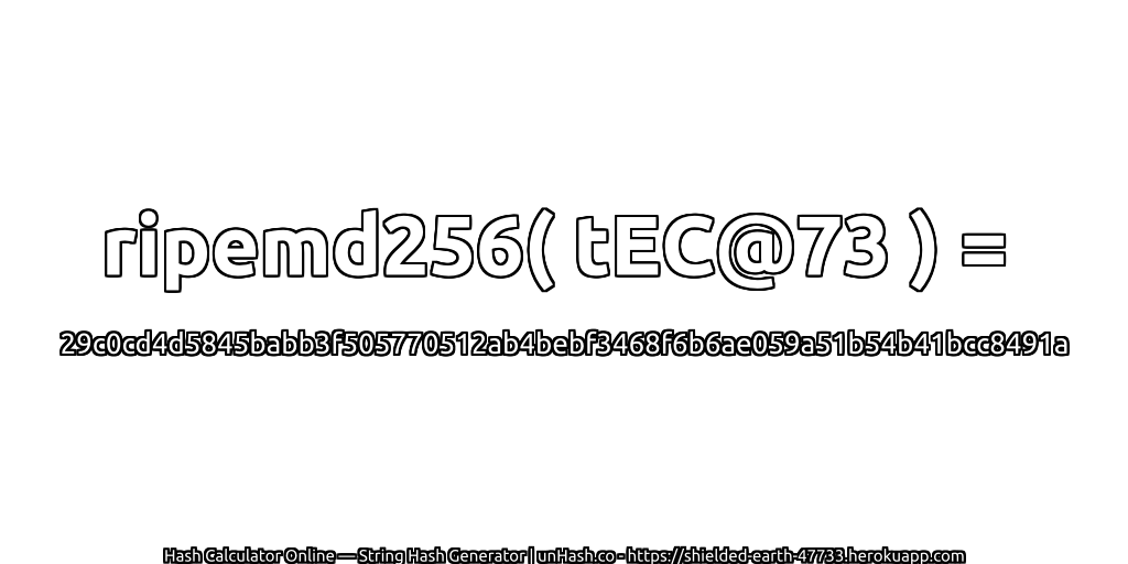 ripemd256( tEC@73 ) = 29c0cd4d5845babb3f505770512ab4bebf3468f6b6ae059a51b54b41bcc8491a | unHash.co
