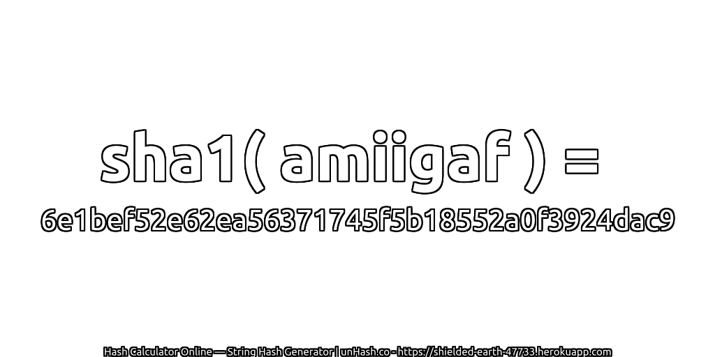 sha1( amiigaf ) = 6e1bef52e62ea56371745f5b18552a0f3924dac9 | unHash.co