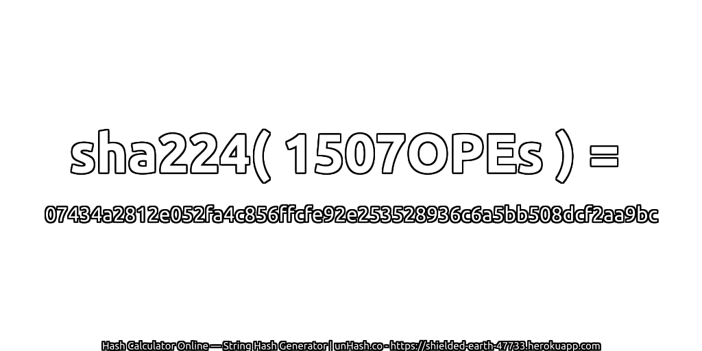sha224( 1507OPEs ) = 07434a2812e052fa4c856ffcfe92e253528936c6a5bb508dcf2aa9bc | unHash.co