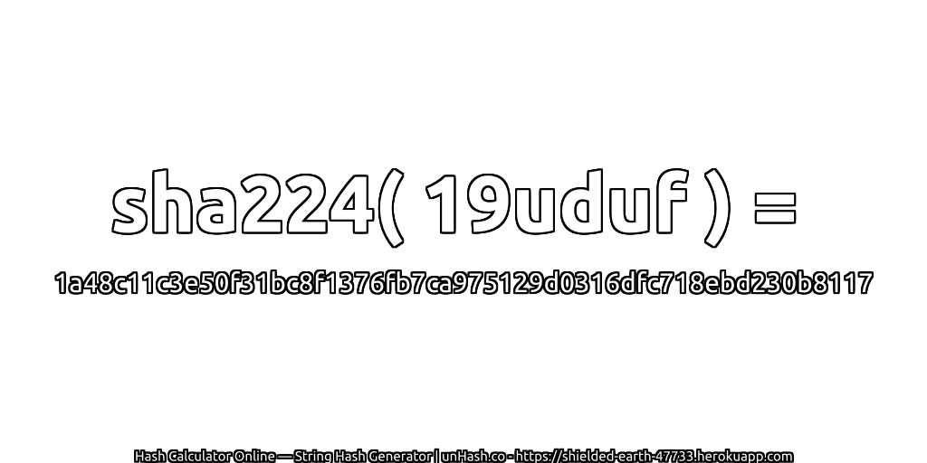 sha224( 19uduf ) = 1a48c11c3e50f31bc8f1376fb7ca975129d0316dfc718ebd230b8117 | unHash.co