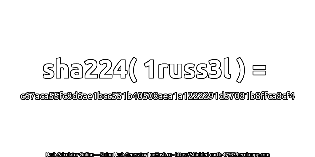 sha224( 1russ3l ) = c67aca55fc8d6ae1bcc531b40508aea1a1222291d57081b8ffca8cf4 | unHash.co