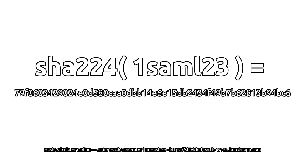 sha224( 1saml23 ) = 79f0603429024e0d580caa0dbb14e6e15db2434f49b7b62813b94bc6 | unHash.co
