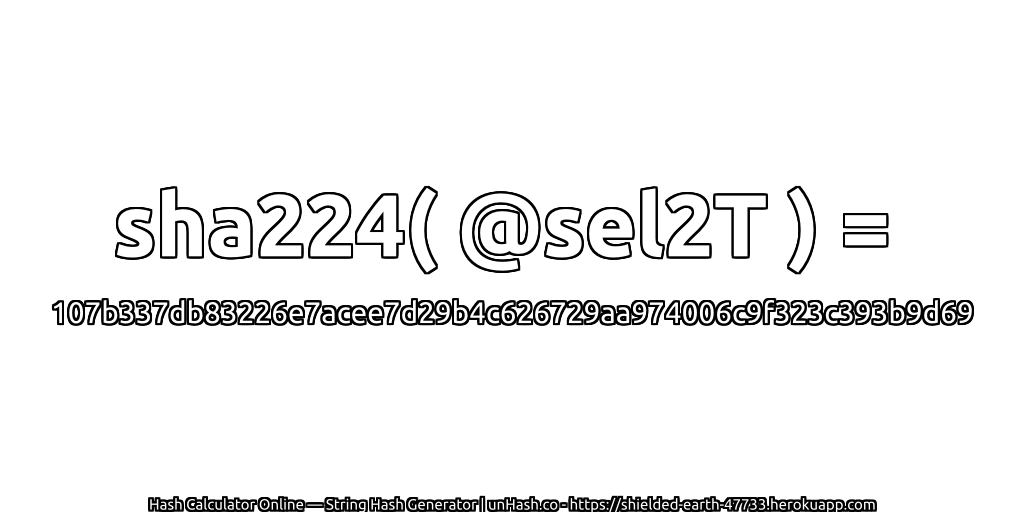 sha224( @sel2T ) = 107b337db83226e7acee7d29b4c626729aa974006c9f323c393b9d69 | unHash.co