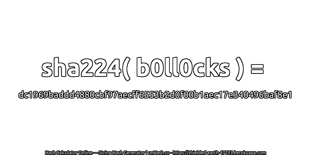 sha224( b0ll0cks ) = dc1969baddd4880cbf97aecff6553b2d0f00b1aec17e340496baf8e1 | unHash.co
