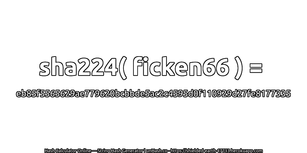 sha224( ficken66 ) = eb85f5565629ae779620bcbbde5ac2c4595d0f110929d27fe8177335 | unHash.co