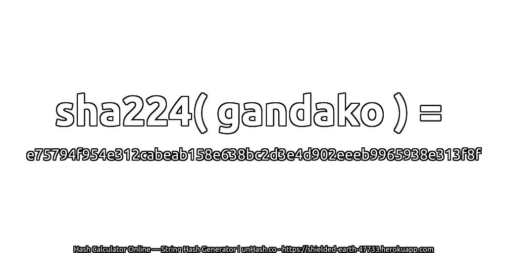 sha224( gandako ) = e75794f954e312cabeab158e638bc2d3e4d902eeeb9965938e313f8f | unHash.co