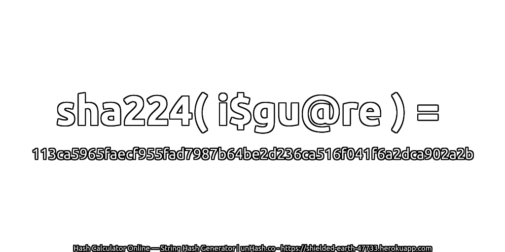 sha224( i$gu@re ) = 113ca5965faecf955fad7987b64be2d236ca516f041f6a2dca902a2b | unHash.co