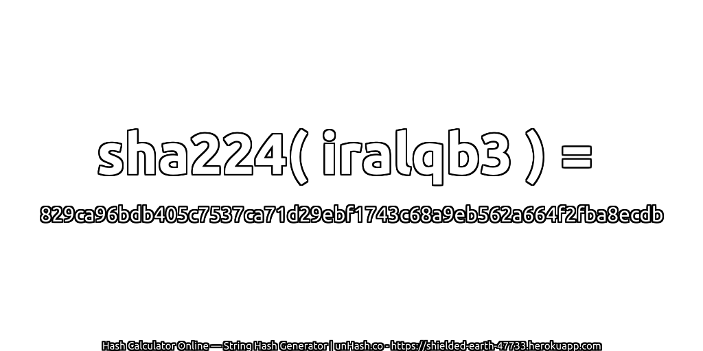 sha224( iralqb3 ) = 829ca96bdb405c7537ca71d29ebf1743c68a9eb562a664f2fba8ecdb | unHash.co