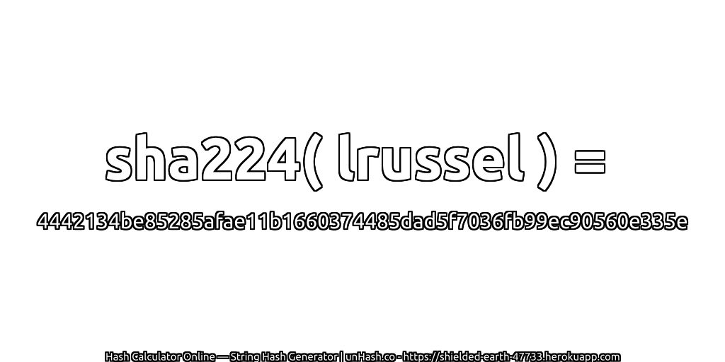 sha224( lrussel ) = 4442134be85285afae11b1660374485dad5f7036fb99ec90560e335e | unHash.co