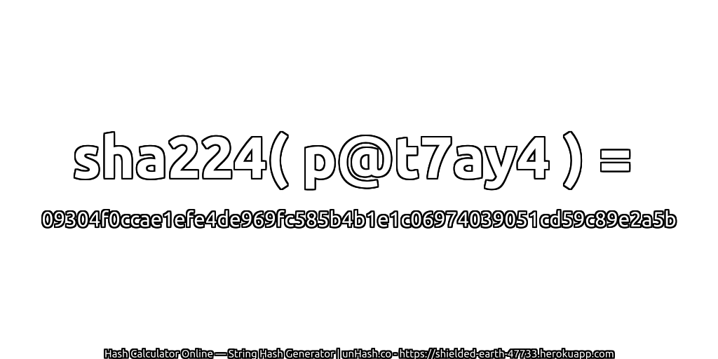 sha224( p@t7ay4 ) = 09304f0ccae1efe4de969fc585b4b1e1c06974039051cd59c89e2a5b | unHash.co