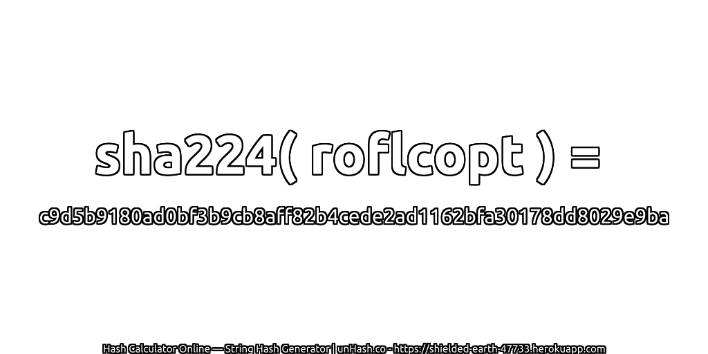 sha224( roflcopt ) = c9d5b9180ad0bf3b9cb8aff82b4cede2ad1162bfa30178dd8029e9ba | unHash.co