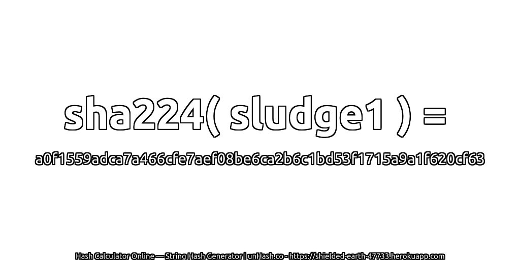 sha224( sludge1 ) = a0f1559adca7a466cfe7aef08be6ca2b6c1bd53f1715a9a1f620cf63 | unHash.co