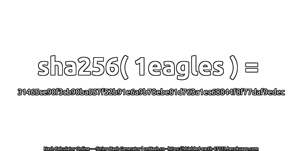 sha256( 1eagles ) = 31465ce90f3cb90ba557f52b91e6a9b78ebe81d763a1ec68844f8f77daf9edec | unHash.co