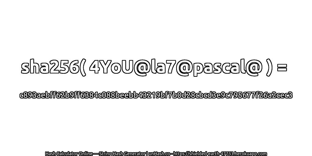 sha256( 4YoU@la7@pascal@ ) = c893aebff62b9ff6384c088beebb43219bf7b0d28cbcd3e9c795677f26a2cec3 | unHash.co