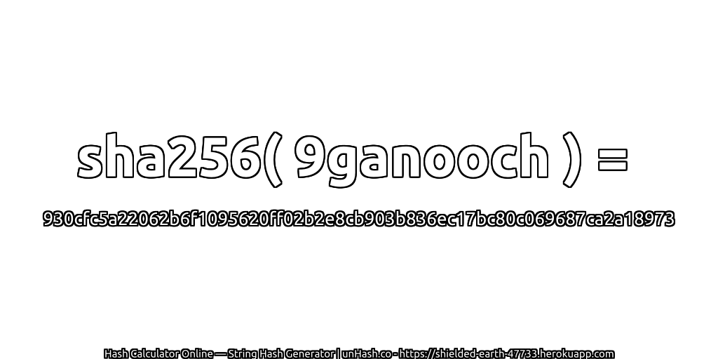 sha256( 9ganooch ) = 930cfc5a22062b6f1095620ff02b2e8cb903b836ec17bc80c069687ca2a18973 | unHash.co