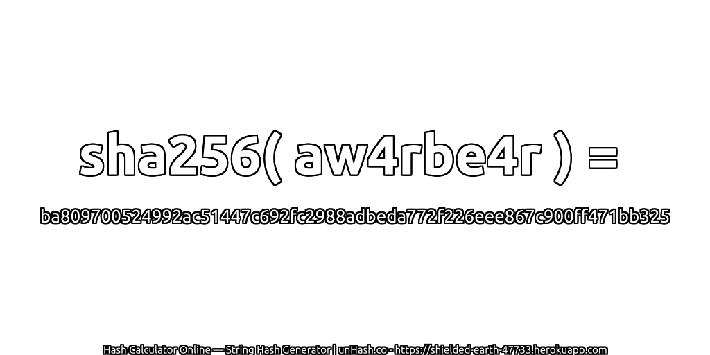 sha256( aw4rbe4r ) = ba809700524992ac51447c692fc2988adbeda772f226eee867c900ff471bb325 | unHash.co