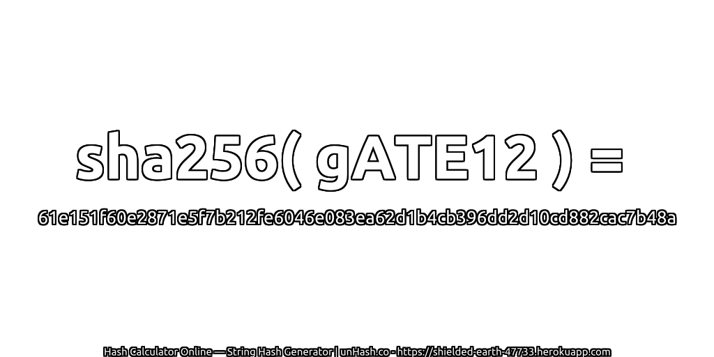 sha256( gATE12 ) = 61e151f60e2871e5f7b212fe6046e083ea62d1b4cb396dd2d10cd882cac7b48a | unHash.co