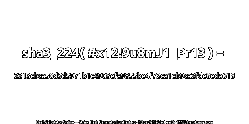 sha3_224( #x12!9u8mJ1_Pr13 ) = 2213cbca50d5d5971b1c4903efa9855be4f72ca1eb9ca2fde8eda618 | unHash.co