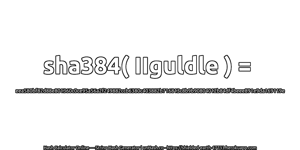 sha384( IIguldle ) = eea580bf82d88e801360c0ce95a56a2f249882ccb6380c403882b716813c8b9b90804012b84df4beee891e9da169119e | unHash.co